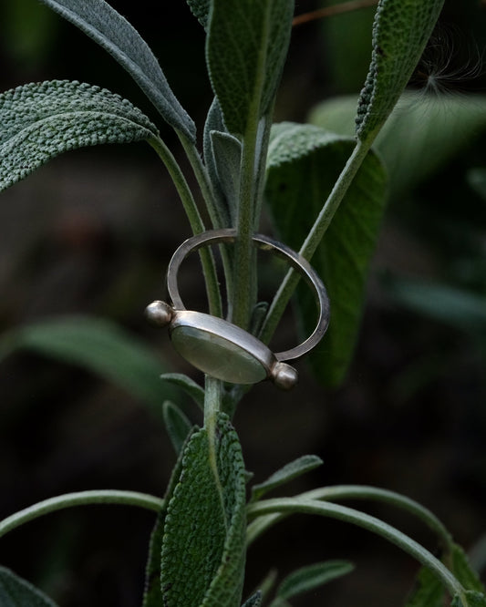 Rosemary Ring Size 8 1/2