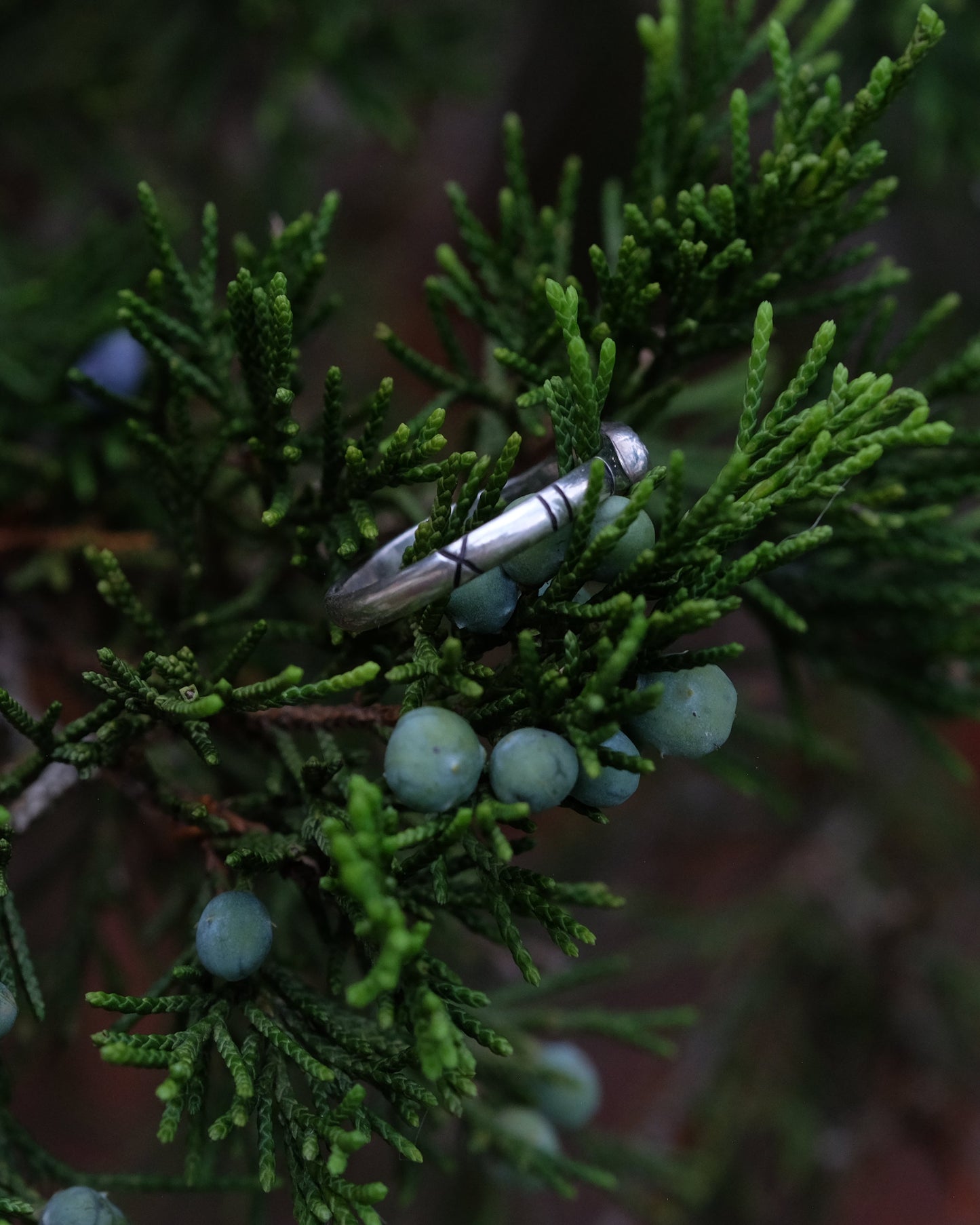 Juniper Ring Size 8 1/2